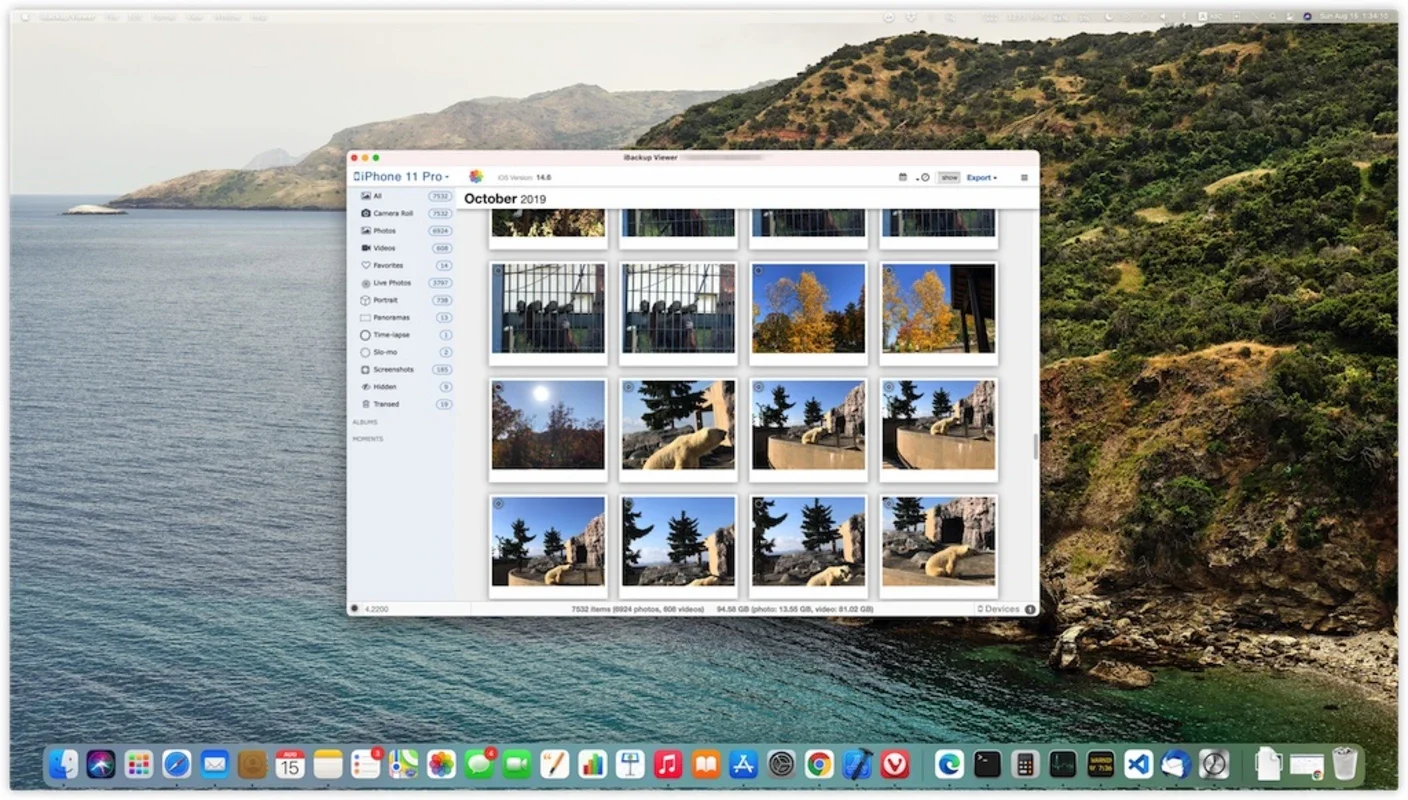 iBackup Viewer for Mac: Manage Your Backups Easily