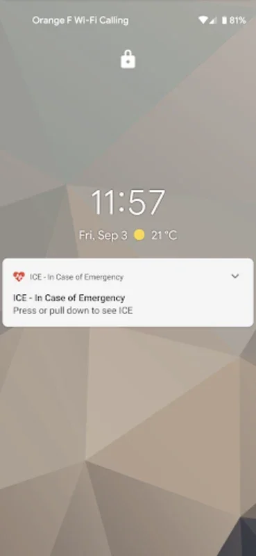 ICE - In Case of Emergency for Android: Essential App