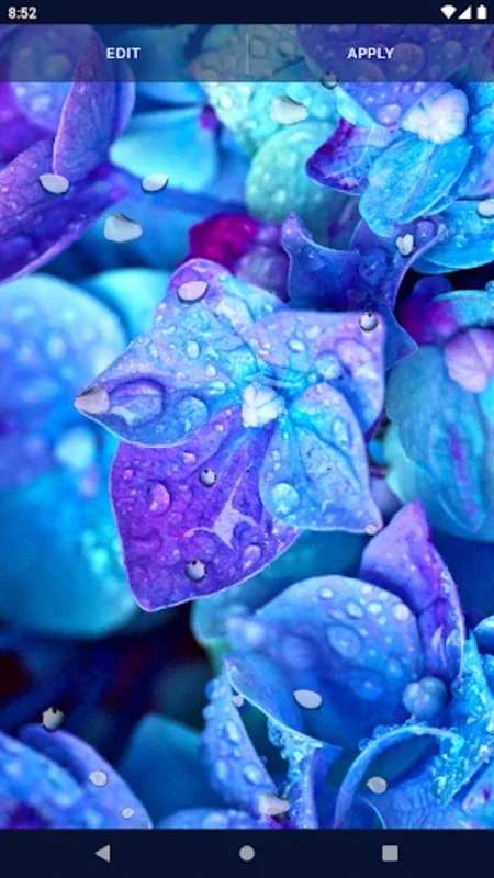 Water RainDrops Live Wallpaper for Android - Stunning Visuals and Customization