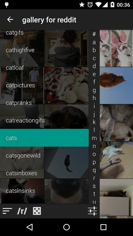 gallery for reddit for Android - Enhance Your Image Viewing