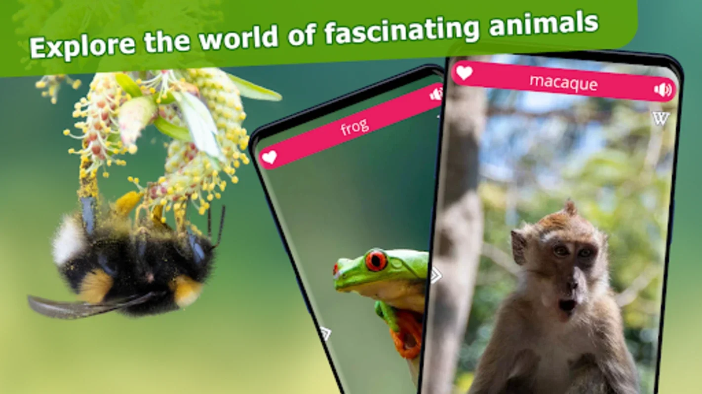 Animal Sounds for Android: Connect with Wildlife