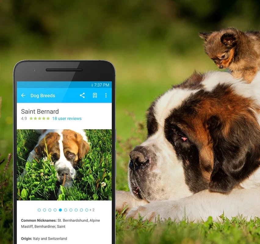 Pet Breeds for Android: Explore Various Breeds