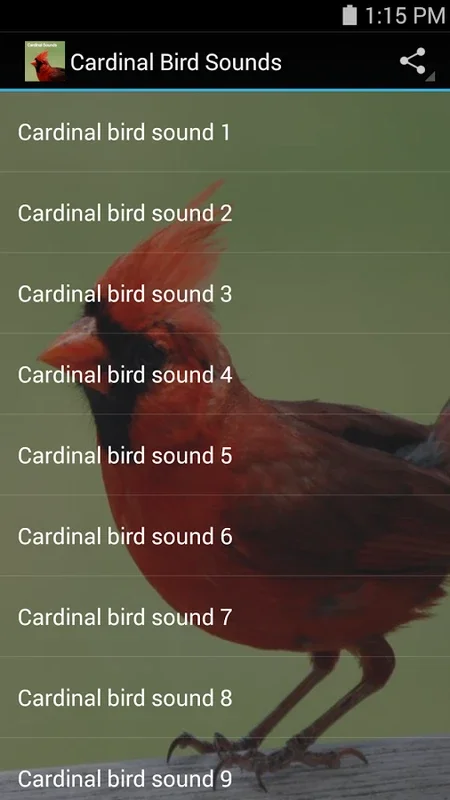 Cardinal Bird Sounds for Android - Immerse in Nature's Melody