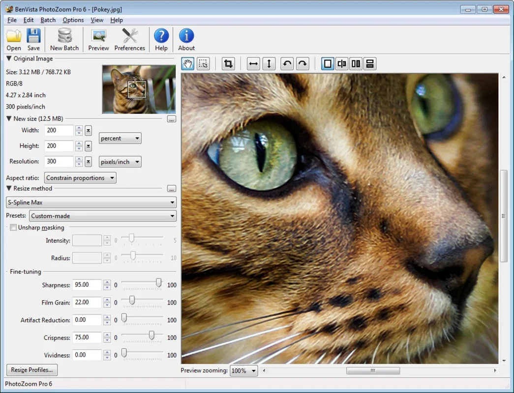 PhotoZoom Pro for Mac - Enlarge Photos with Ease