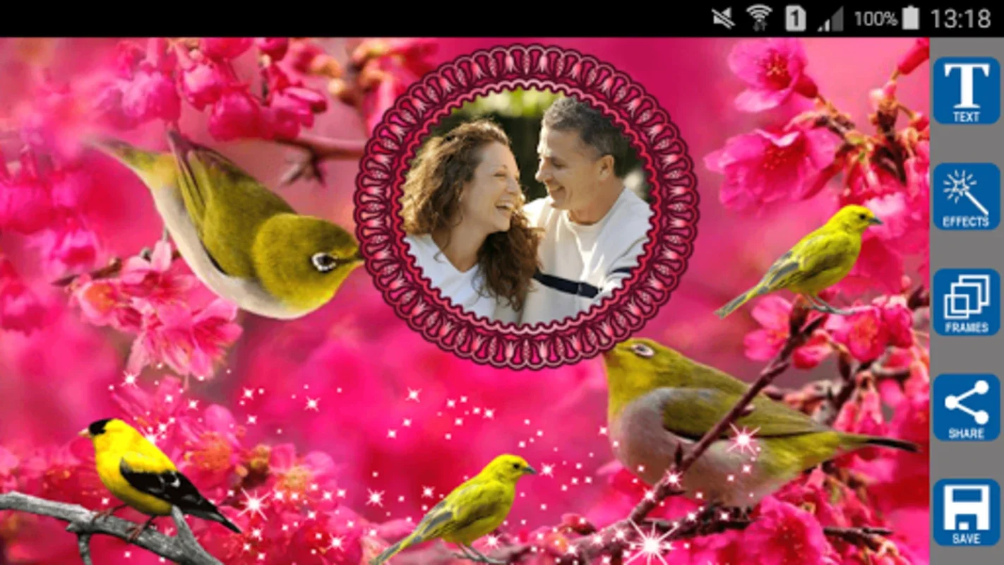 Love Birds Photo Frames for Android: Enhance Romance