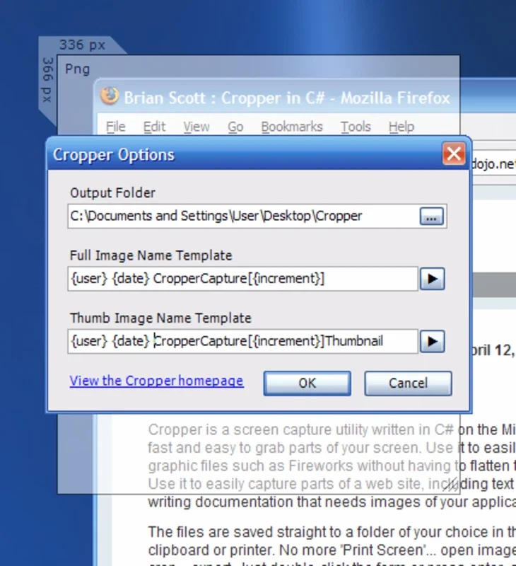 Cropper: Precise Screenshot Capture for Windows