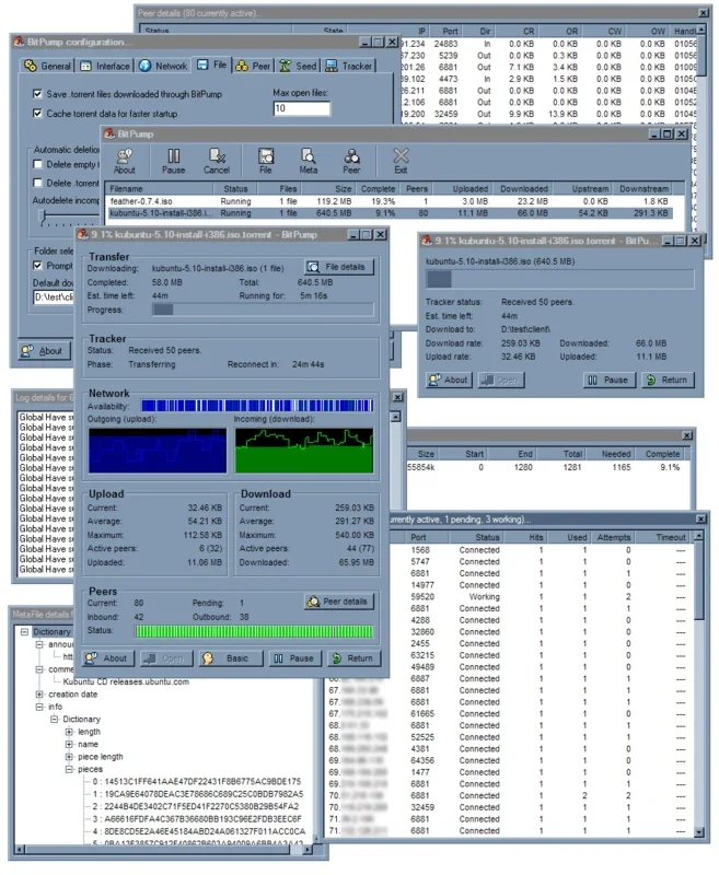 BitPump for Windows - Streamlined Data Transfer