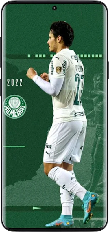 Palmeiras Papéis de Parede for Android - Quality Wallpapers