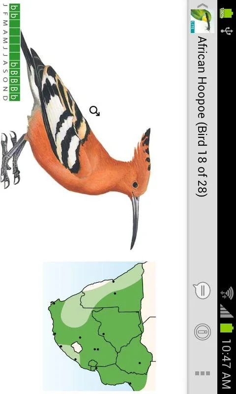 Sasol eBirds (Lite) for Android: Bird ID Made Easy