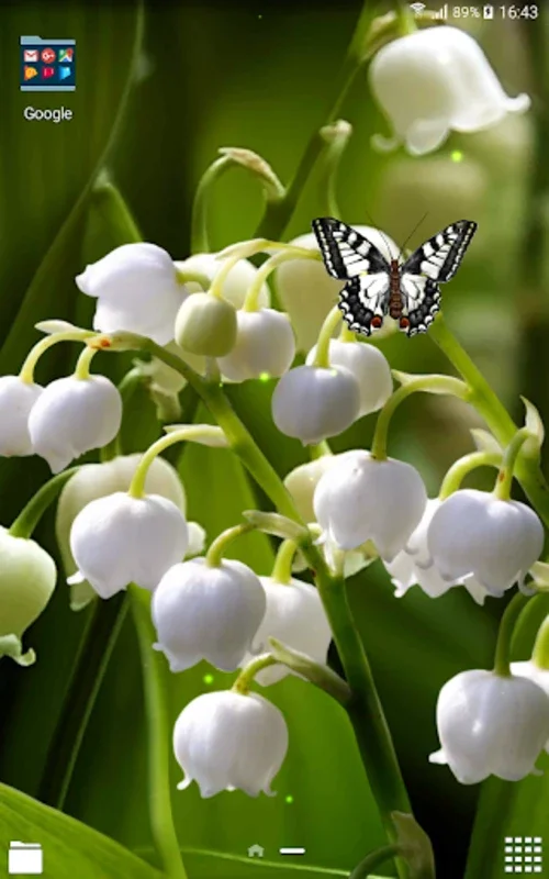 Lily of The Valley Wallpaper for Android - Stunning 3D Experience