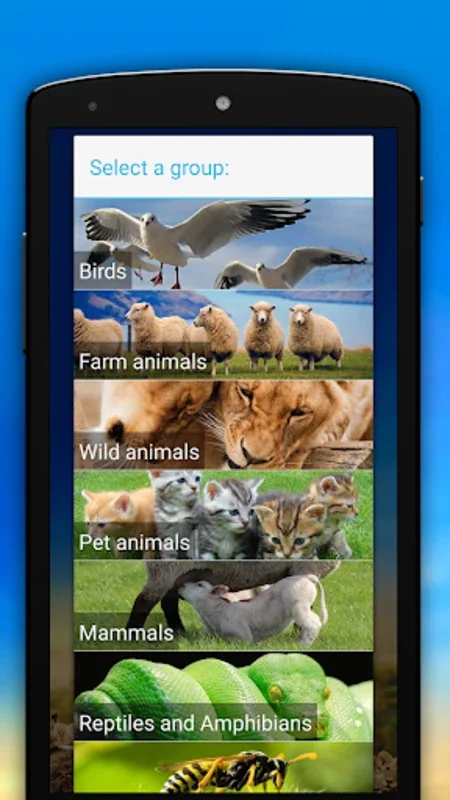 Animal Sounds for Android: Connect with Wildlife