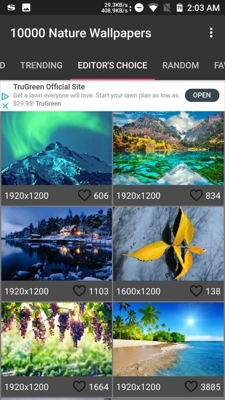 10000 Nature Wallpapers for Android - Explore Nature's Beauty