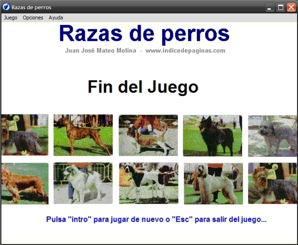 Razas de perros for Windows - No Download Needed