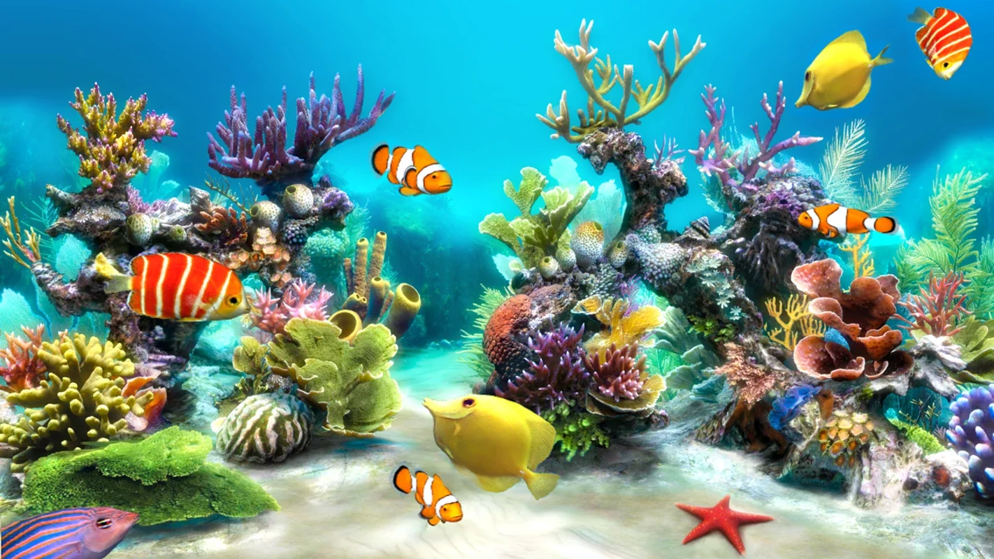 Sim Aquarium for Android - Immerse Yourself in a Virtual Aquarium