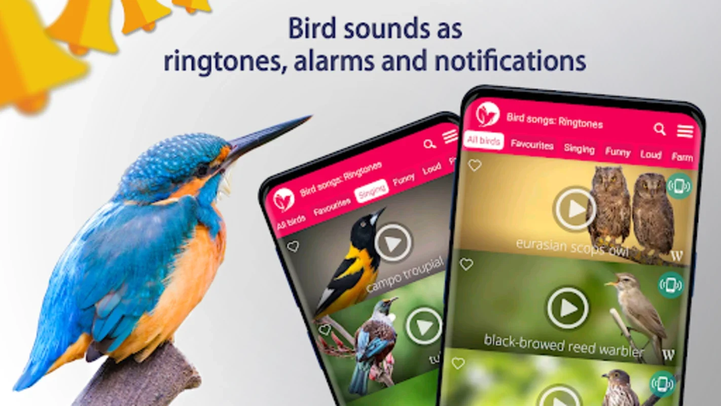 Bird Songs: Ringtones for Android - Enjoy Nature's Melodies