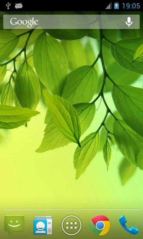 Leaf Live Wallpaper for Android - Enhance Your Screen