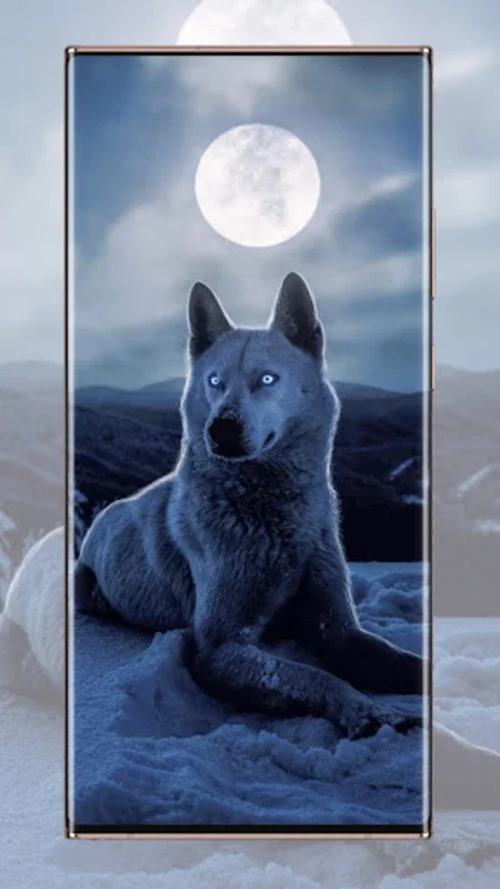 Wlof Wallpaper for Android - Stunning Wolf Images