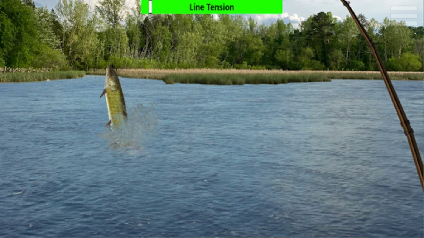 Musky Country for Android - Enjoy Home Fishing Fun