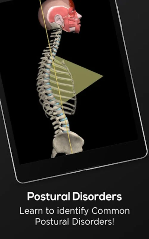 Posture by Muscle & Motion for Android: Professional Posture Education