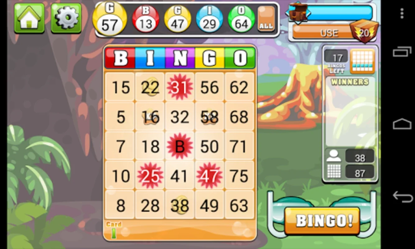 BingoCasino for Android: Thrilling Casino Experience