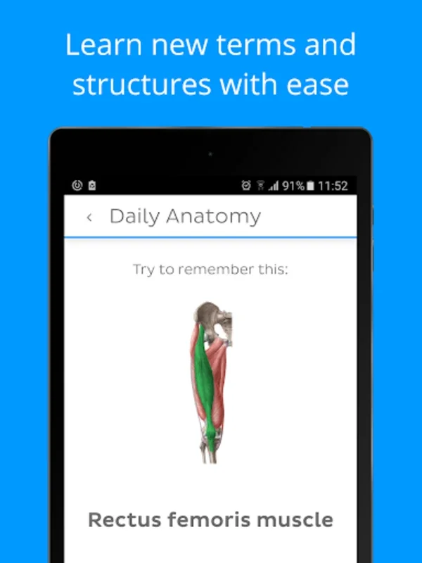 Daily Anatomy Flashcards for Android: Enhance Your Learning