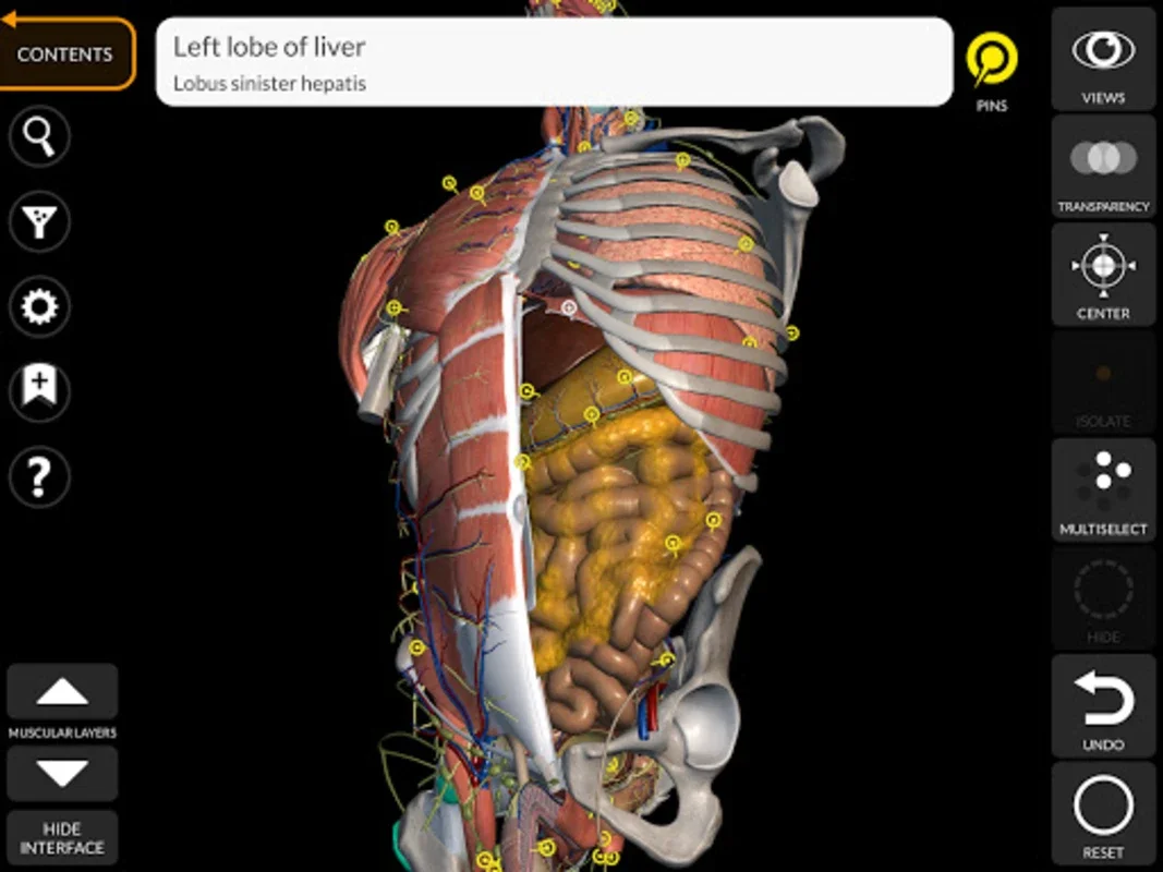 Anatomy 3D Atlas: Interactive 3D Human Anatomy for Android