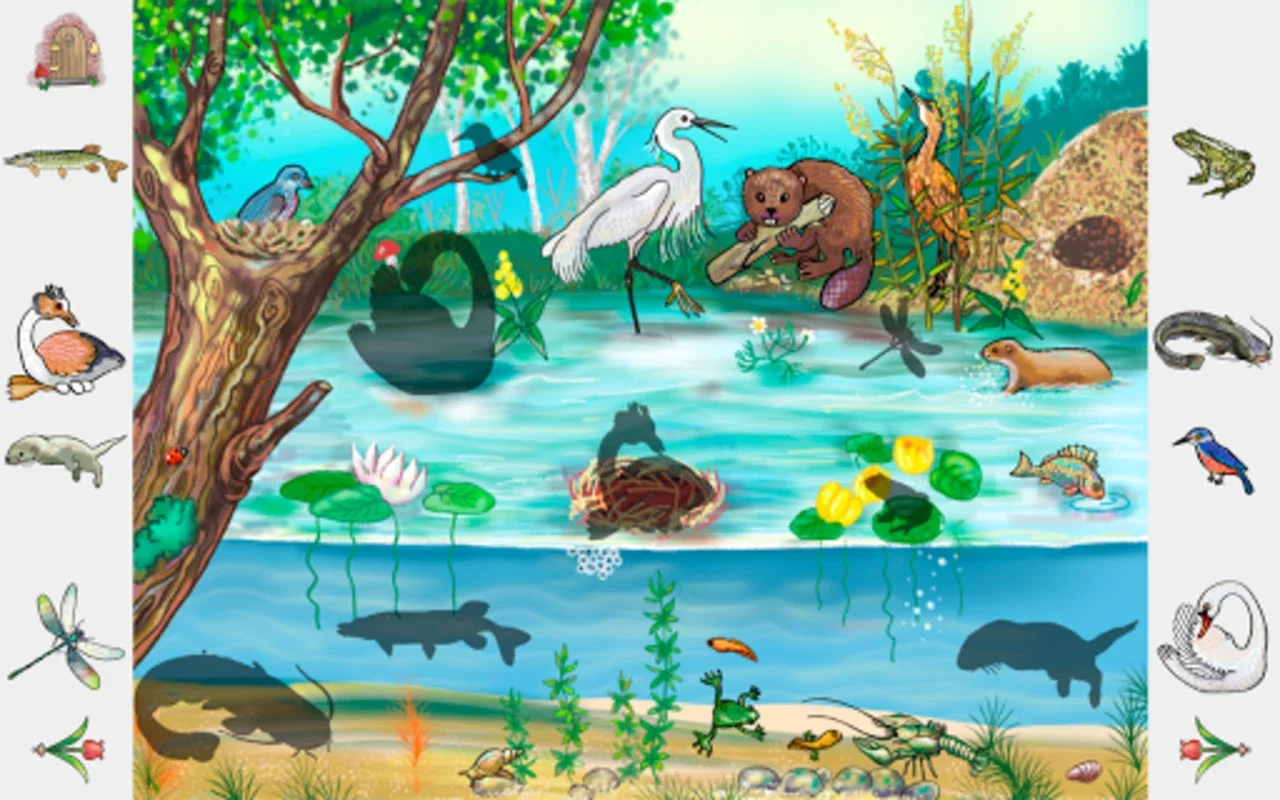 Find Animals for Android - Download the APK from AppHuts