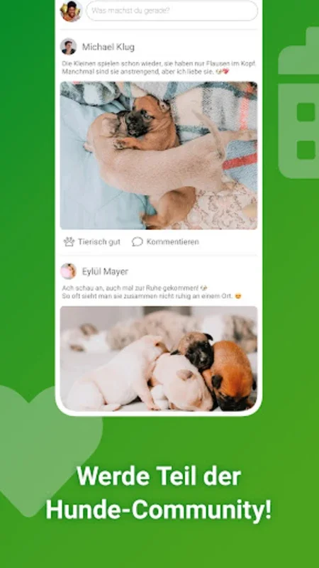 Dogorama – The Dog Community for Android: Connecting Dog Lovers