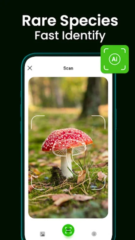 Bloomify - Plant Identifier for Android - No Downloading Needed