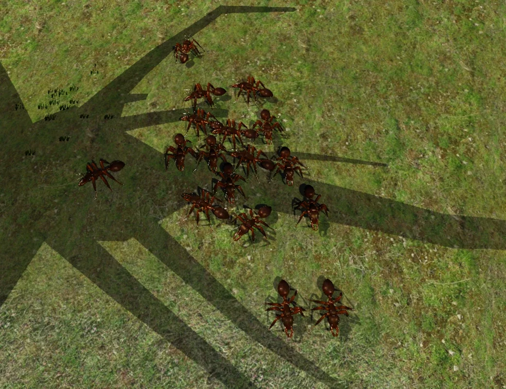 Ant Simulation for Android - Build Your Ant Colony