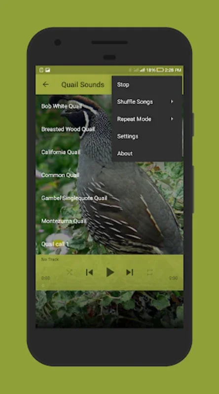 Quail Sounds for Android: Enjoy High - Quality Quail Audio