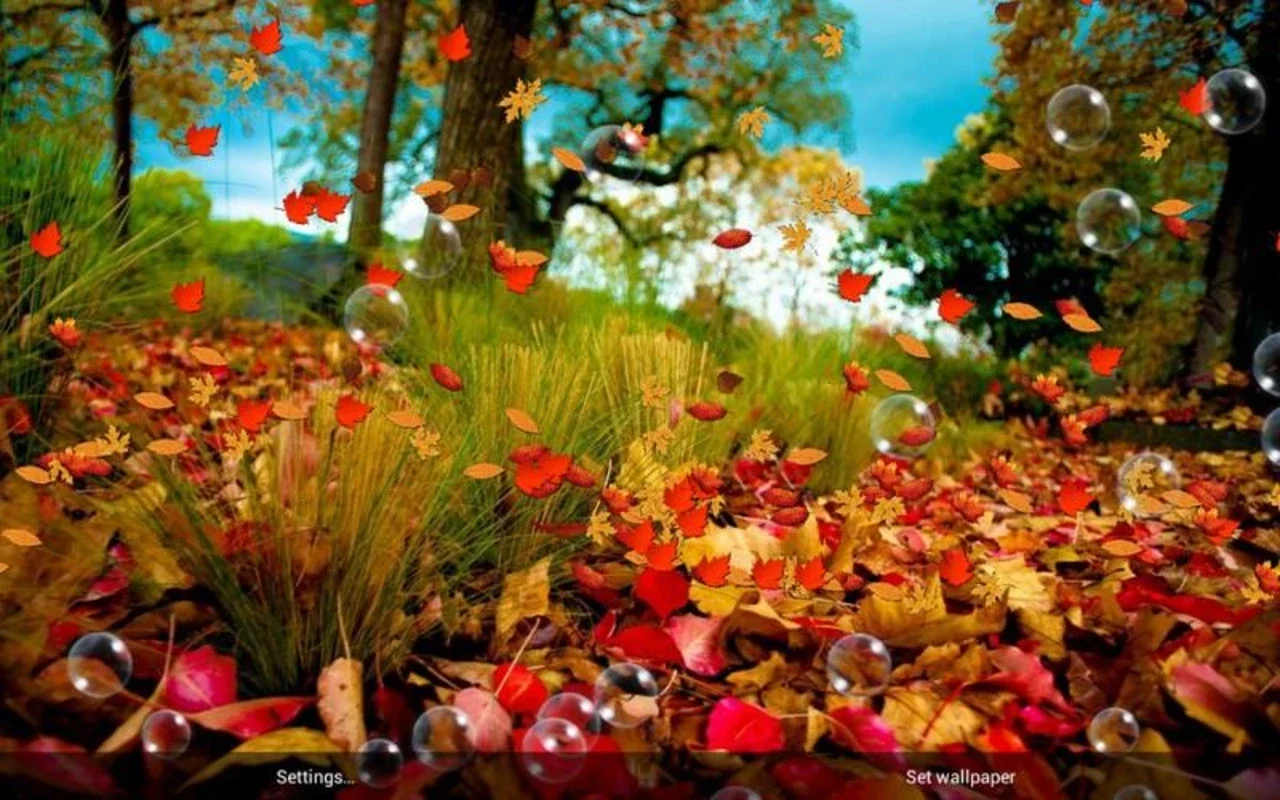 Autumn Live Wallpaper for Android - Immerse in Fall Beauty