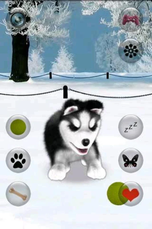 Talking Husky for Android - Fun Interactions Await