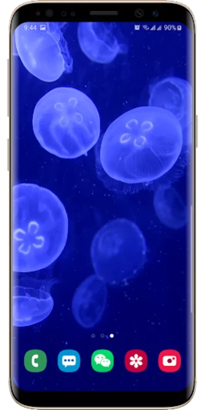 Real Aquarium Live Wallpaper for Android - No Downloading Needed