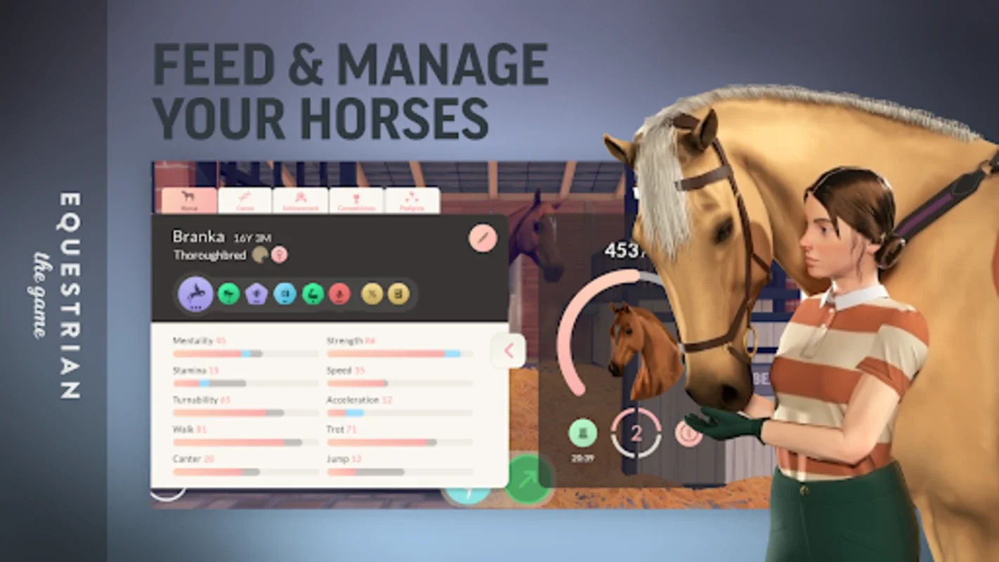 Equestrian the Game for Android - Horse Riding and Competing