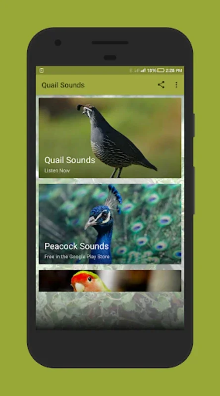 Quail Sounds for Android: Enjoy High - Quality Quail Audio