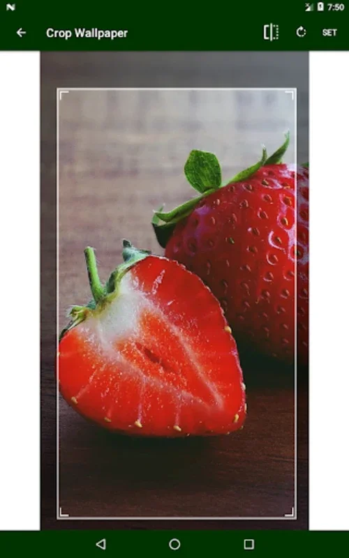 Fruit Wallpapers for Android - Enhance Your Device