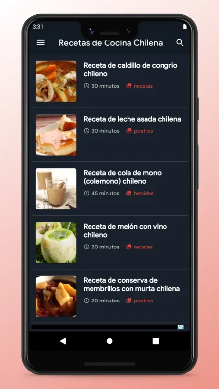 Chilean Recipes - Food App for Android: Diverse Culinary Delights