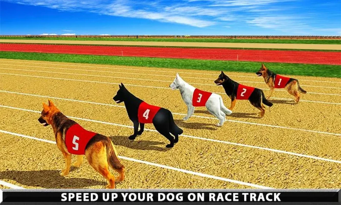 Wild Greyhound Dog Racing for Android - Thrilling Races