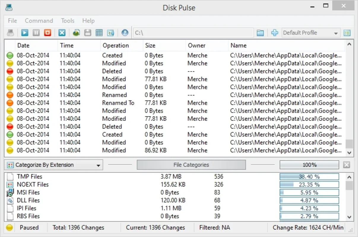 DiskPulse for Windows - Keep Track of File Changes