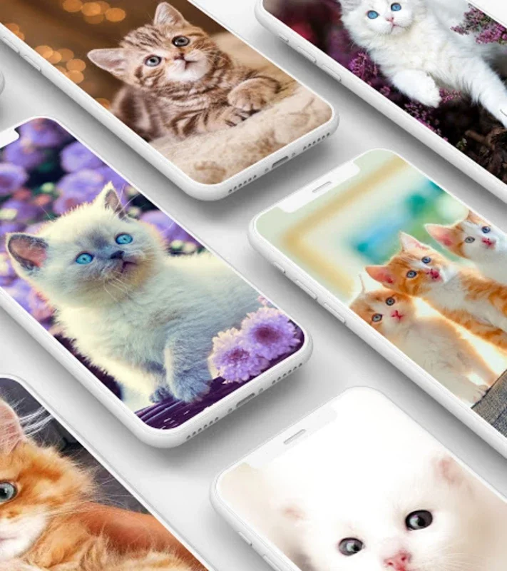 Cute Kitten Wallpaper for Android - Personalize Your Device