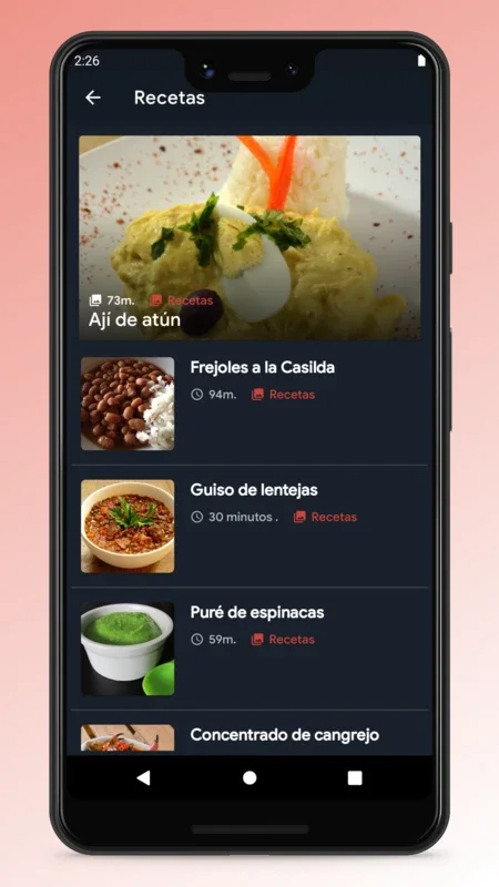 Puerto Rican Recipes - Food App for Android: Diverse Delicacies