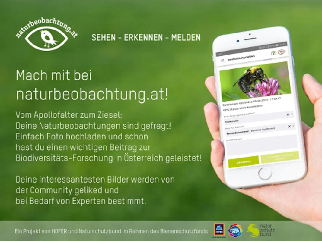 naturbeobachtung.at for Android - Record & Share Biodiversity