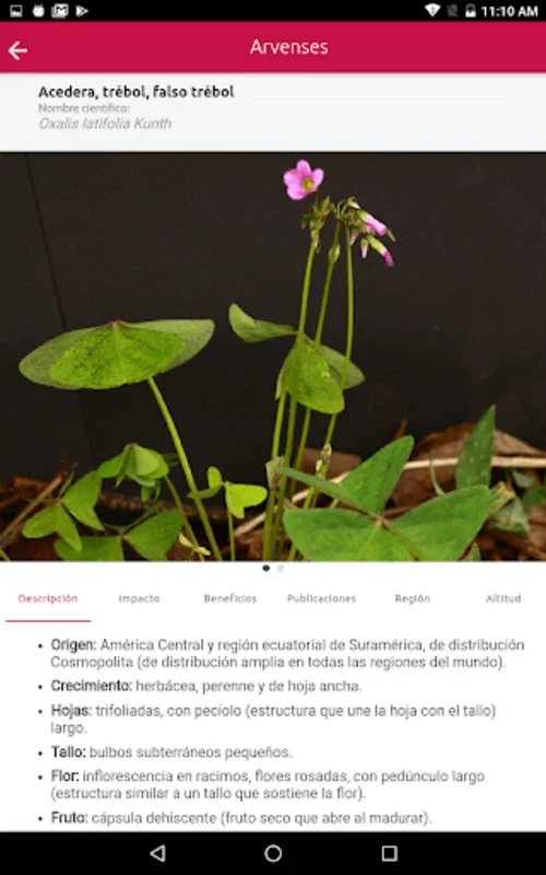 Cenicafé:Manejo Agronómico y Fitosanitario for Android - Enhance Coffee Health