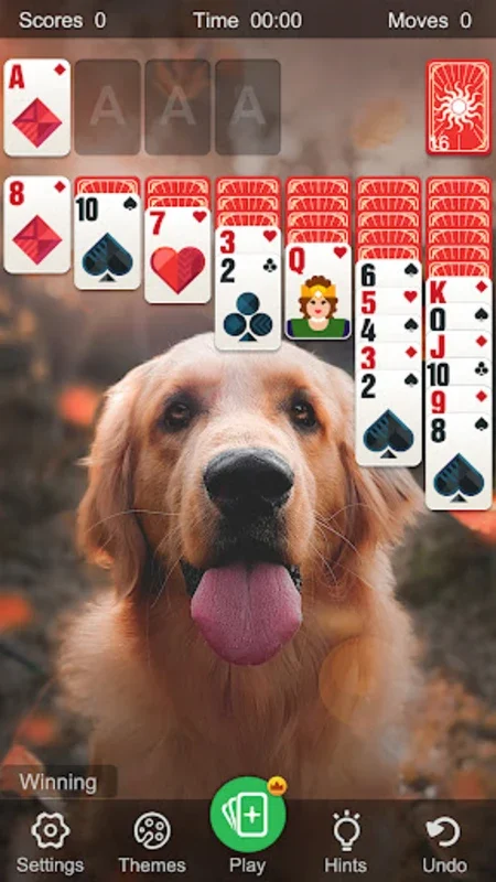 Solitaire for Android - Engaging Offline Card Game