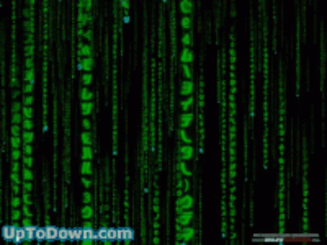 Matrix Reloaded 3D Screensaver for Windows - Immersive Visuals