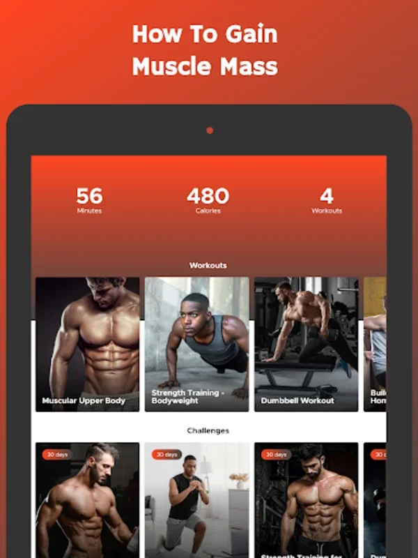 Gain Muscle Mass for Android - Effective Muscle Building