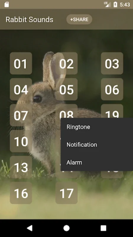 Rabbit and Bunny Sounds for Android - Enhance Pet Care