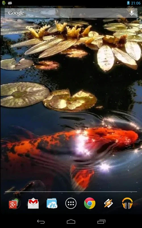 Koi Fish in the Pond for Android - Relaxing Virtual Experience