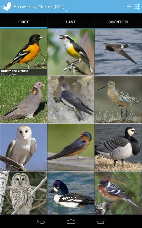 Audubon Bird Guide for Android - Comprehensive Bird App